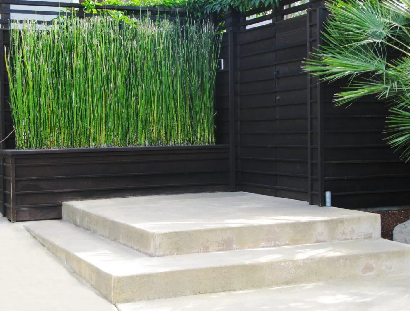 Concrete steps, courtesy of Lauderdale Concrete, lead up to a small platform surrounded by a dark wood fence. The platform is adjacent to tall, dense green reeds and a small palm plant on the right. The setting appears to be a modern, minimalist outdoor space in Coral Springs, FL.